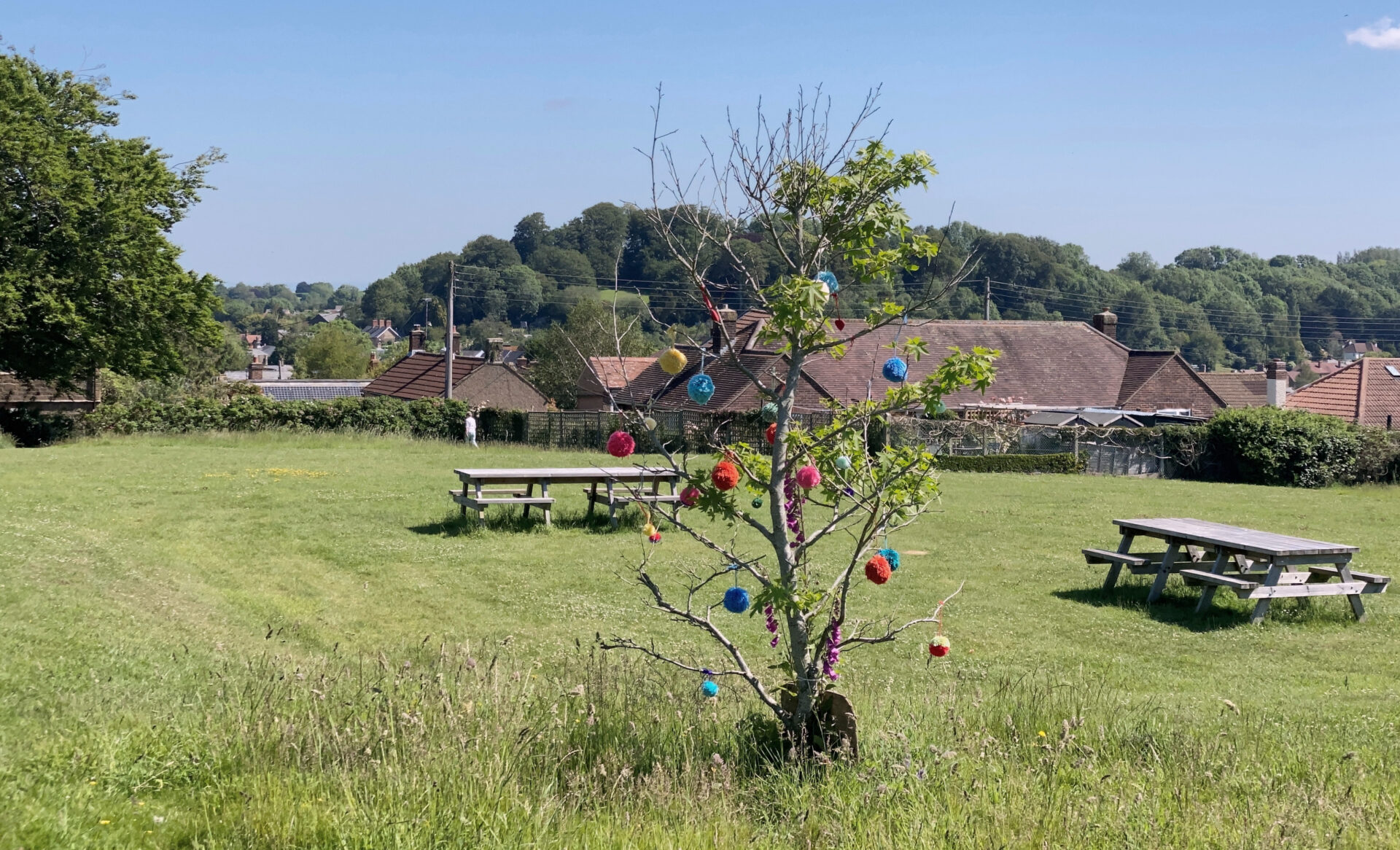 Pom poms hanging from a tree at Barn Close Recreation Ground. Photo by Jeff Hutson