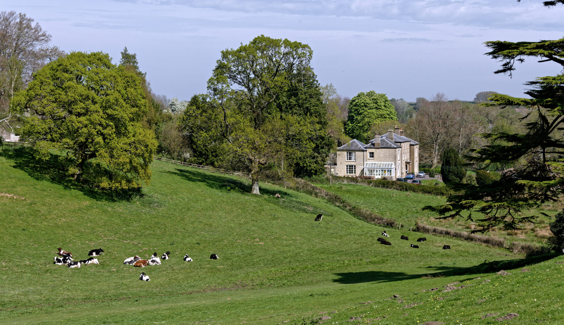 View across Bincombe Valley. Photo by Jeff Hutson